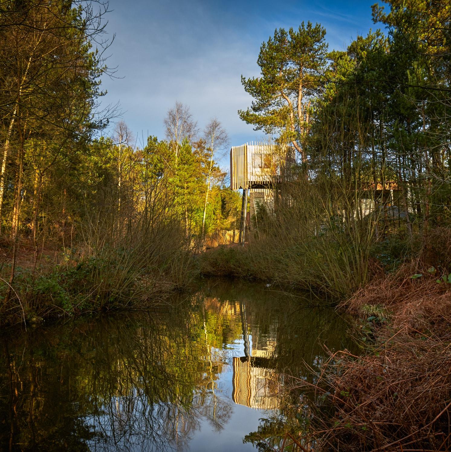 A modern wooden building partially hidden by trees is reflected in a calm pond, surrounded by dense forest and under a blue sky with scattered clouds.