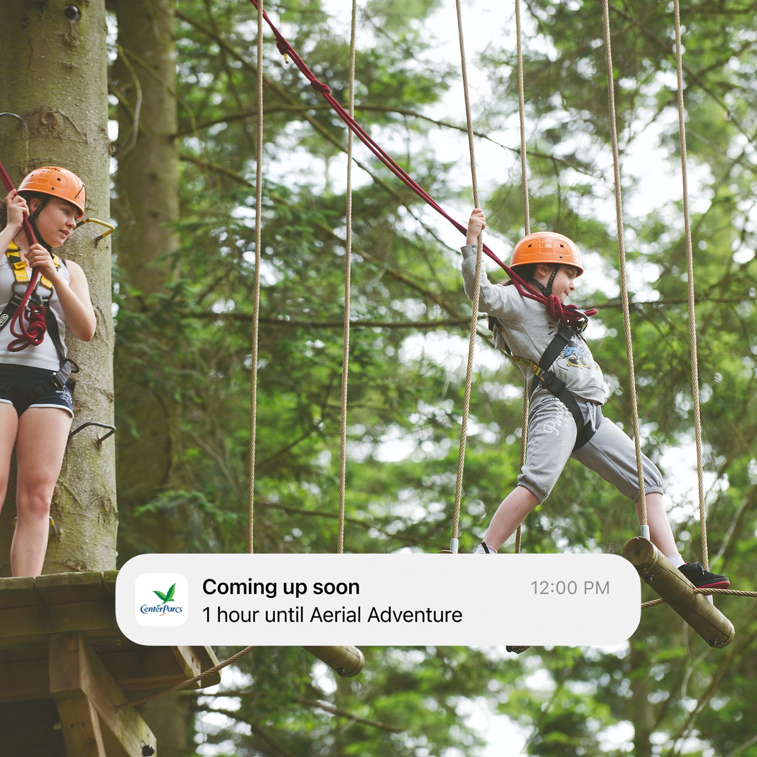 Two people wearing helmets and harnesses navigate ropes and platforms in an outdoor aerial adventure course among tall trees. A notification reads, “1 hour until Aerial Adventure.”.
